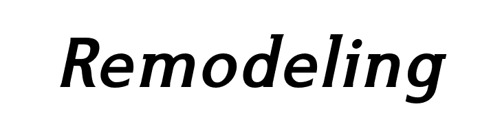 IkariusADFNo2Std-BoldItalic  Free Fonts Download