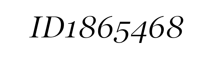 SD Georgia Light Demo Italic  Free Fonts Download