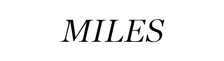 SD Georgia Light Demo Italic  Free Fonts Download