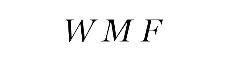 SD Georgia Light Demo Italic  Free Fonts Download