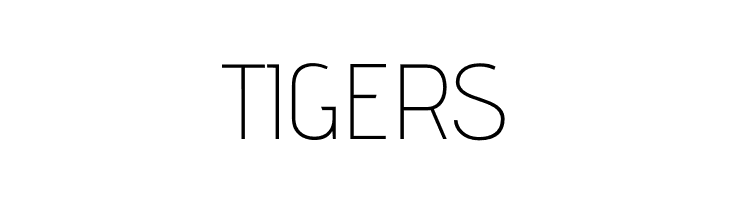 AdventPro-ExtraLight  Free Fonts Download