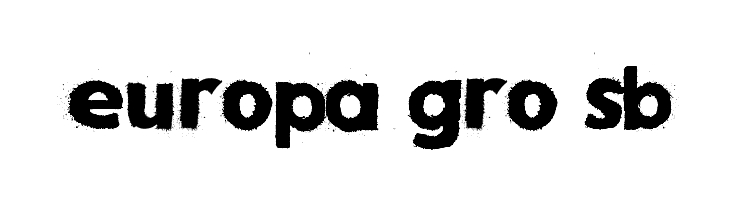 Snow Times  Free Fonts Download