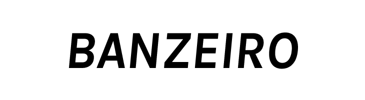 Karla Bold Italic  Free Fonts Download