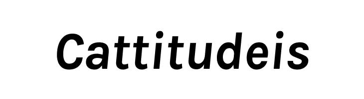 Karla Bold Italic  Free Fonts Download