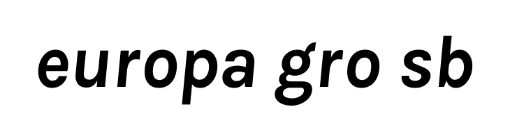 Karla Bold Italic  Free Fonts Download