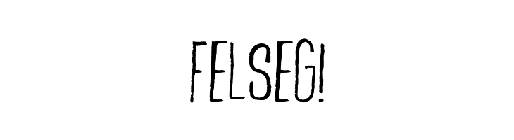 FELSEG%2521 BambooBrisk-Regular Font