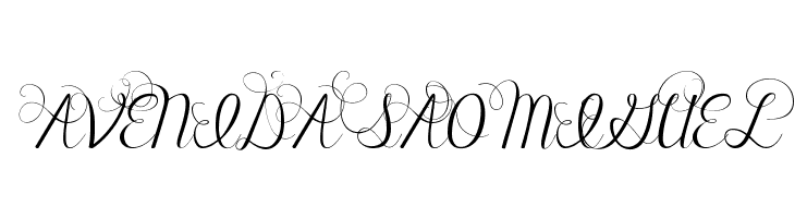 Janda Celebration Script  Free Fonts Download