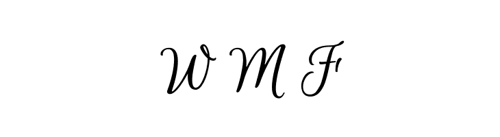 Euphoria Script  Free Fonts Download