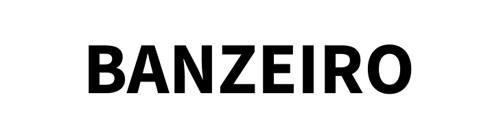 Source Sans Pro Bold  Free Fonts Download