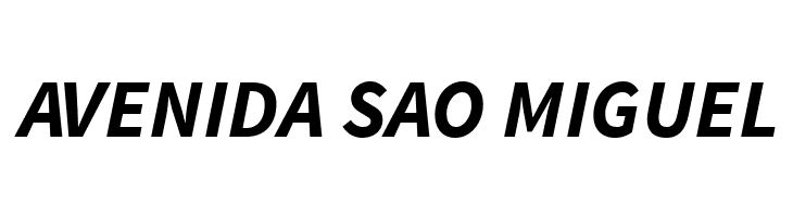 Source Sans Pro Bold Italic  Free Fonts Download