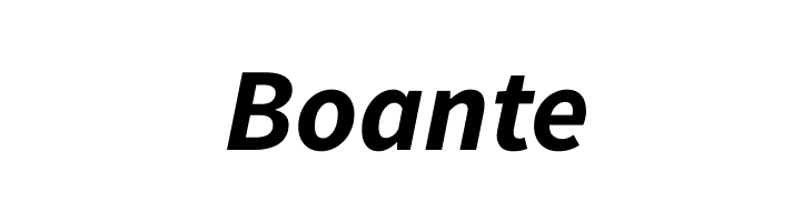 Source Sans Pro Bold Italic  Free Fonts Download