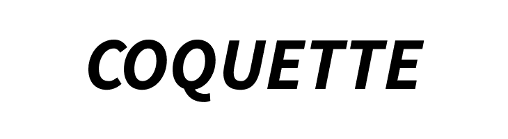 Source Sans Pro Bold Italic  Free Fonts Download