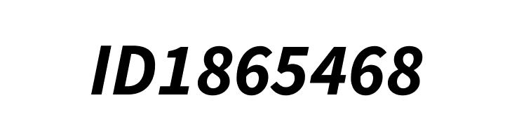 Source Sans Pro Bold Italic  Free Fonts Download