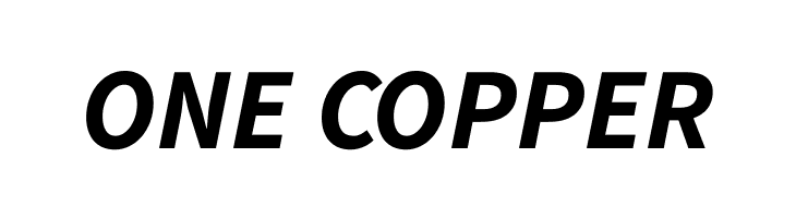 Source Sans Pro Bold Italic  Free Fonts Download