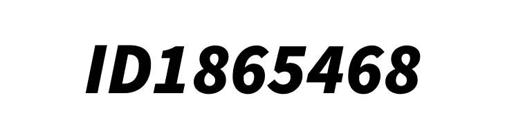 Source Sans Pro Black Italic  Free Fonts Download