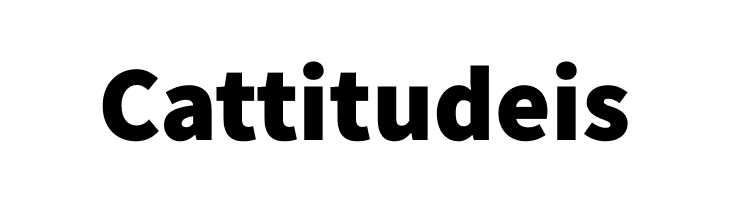 Source Sans Pro Black  Free Fonts Download