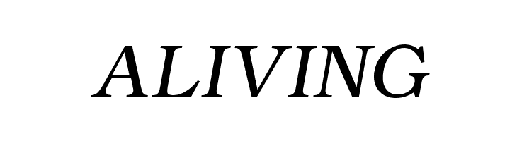 ER Bukinist Mac Italic  Free Fonts Download