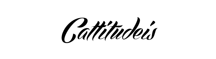 Echinos Park Script - PERSONAL USE ONLY  Free Fonts Download