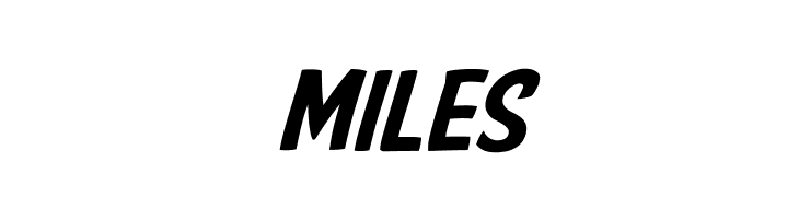 American Purpose Casual 02  Free Fonts Download