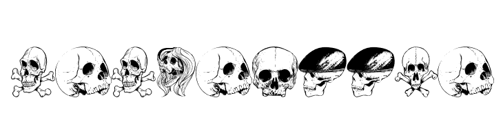 Untitled-Regular  Free Fonts Download