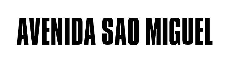 Aka-AcidGR-Compacta  Free Fonts Download