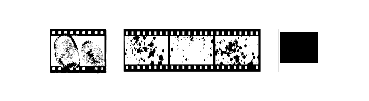 NegativeFilm Regular  Free Fonts Download