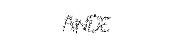 FlowerHeader  Free Fonts Download