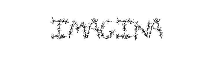 FlowerHeader  Free Fonts Download