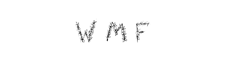 FlowerHeader  Free Fonts Download