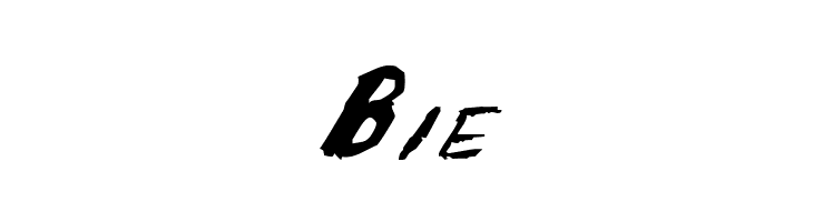 The Shaker CAPS  Free Fonts Download