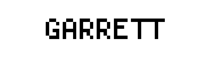 LisaTerminal Paper Small Raw  Free Fonts Download