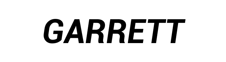 Roboto Bold Italic  Free Fonts Download