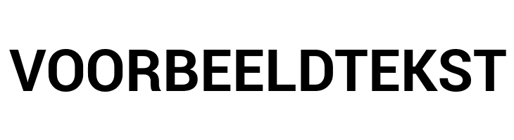 VOORBEELDTEKST Roboto Bold Font