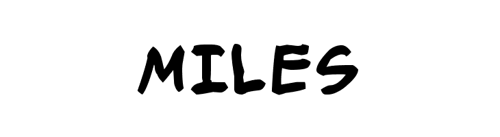 Smack Typographik  Free Fonts Download