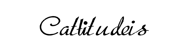 Porosa  Free Fonts Download