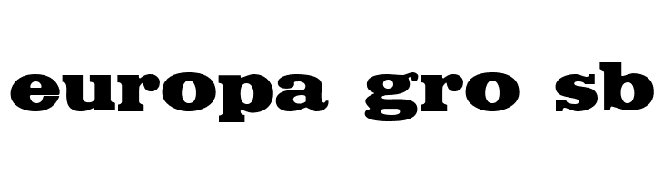 Saloon  Free Fonts Download