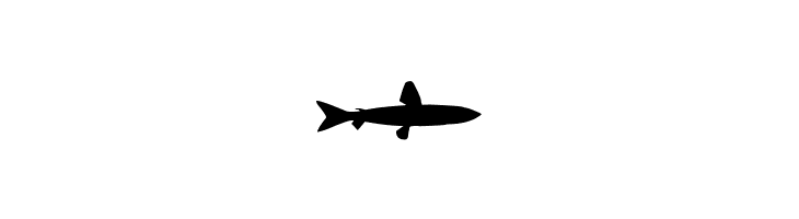 LE FISH  Free Fonts Download