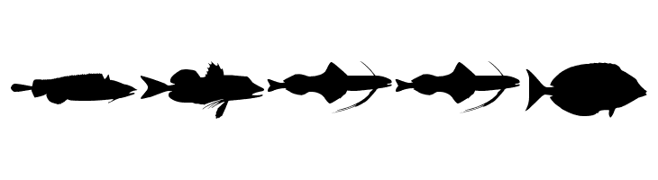 LE FISH  Free Fonts Download