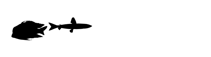 LE FISH  Free Fonts Download