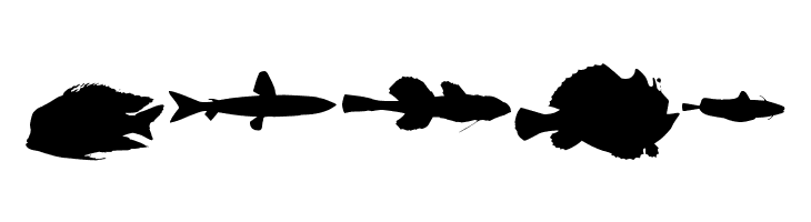 LE FISH  Free Fonts Download