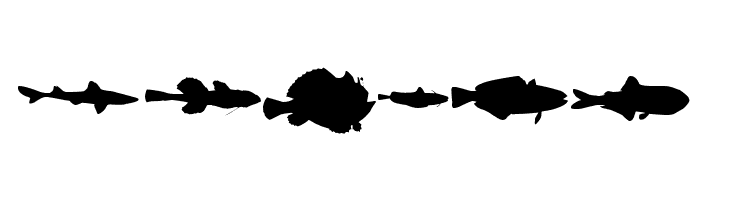 LE FISH  Free Fonts Download