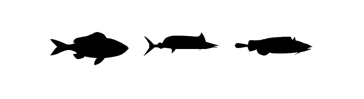 LE FISH  Free Fonts Download