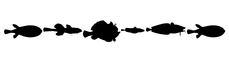 LE FISH  Free Fonts Download