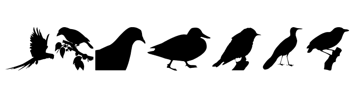 Birds TFB  Free Fonts Download