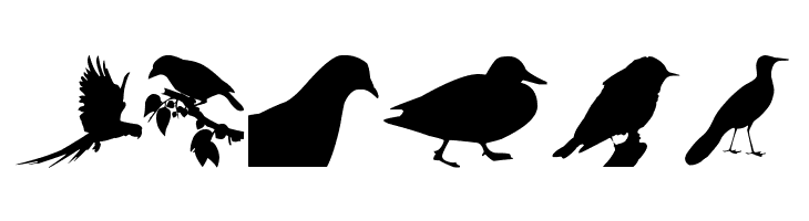 Birds TFB  Free Fonts Download