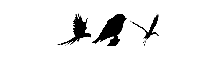 Birds TFB  Free Fonts Download