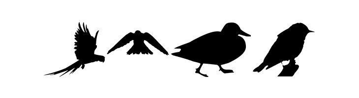 Birds TFB  Free Fonts Download