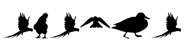 Birds TFB  Free Fonts Download