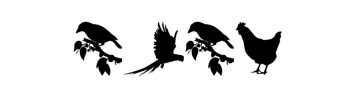 Birds TFB  Free Fonts Download