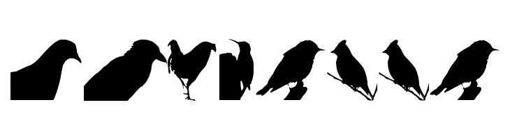 Birds TFB  Free Fonts Download